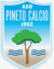 logo PINETO