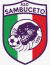 logo MONTESILVANO